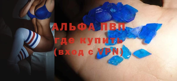 стафф Арсеньев