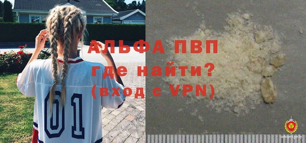 стафф Арсеньев