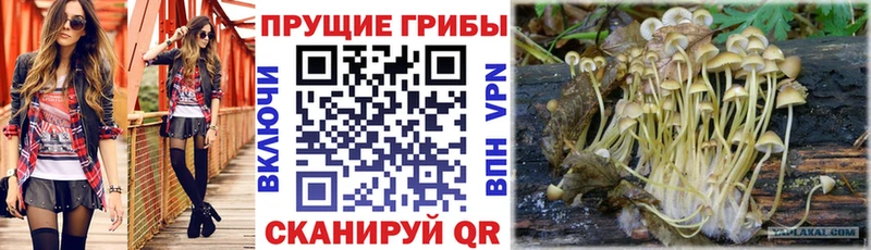 Псилоцибиновые грибы MAGIC MUSHROOMS  Сосногорск 